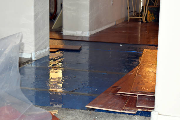 Professional Water Damage Restoration technician working in Montchanin, DE